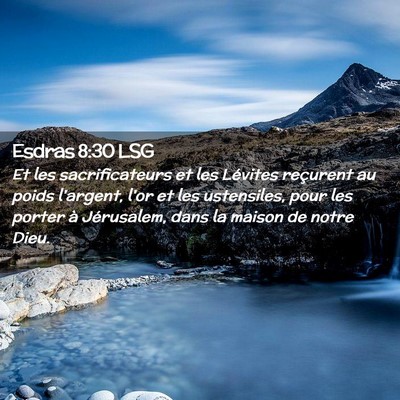 Picture 02 - Esdras 8:30 LSG - Et les sacrificateurs et les Lévites reçurent - Bible Verse Picture