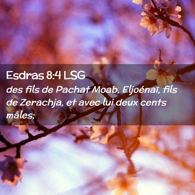 Picture 02 - Esdras 8:4 LSG - des fils de Pachat Moab, Eljoénaï, fils de - Bible Verse Picture
