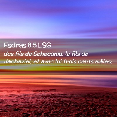 Picture 02 - Esdras 8:5 LSG - des fils de Schecania, le fils de Jachaziel, et - Bible Verse Picture