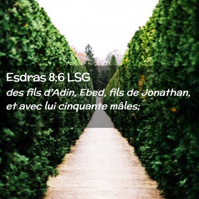 Picture 02 - Esdras 8:6 LSG - des fils d'Adin, Ebed, fils de Jonathan, et avec - Bible Verse Picture