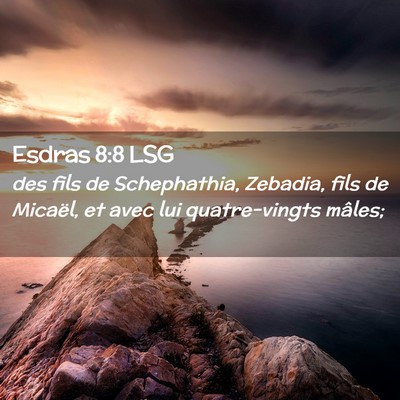 Picture 02 - Esdras 8:8 LSG - des fils de Schephathia, Zebadia, fils de - Bible Verse Picture