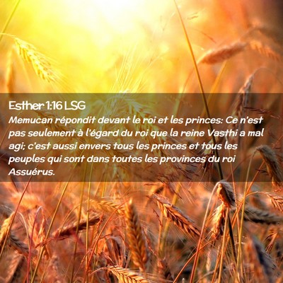 Picture 02 - Esther 1:16 LSG - Memucan répondit devant le roi et les princes: - Bible Verse Picture