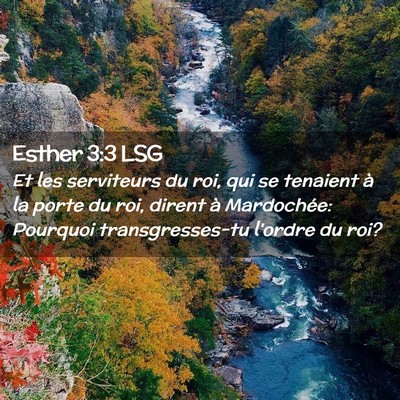 Picture 02 - Esther 3:3 LSG - Et les serviteurs du roi, qui se tenaient à la - Bible Verse Picture