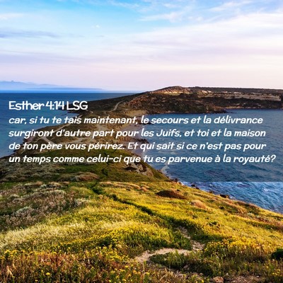 Picture 02 - Esther 4:14 LSG - car, si tu te tais maintenant, le secours et la - Bible Verse Picture