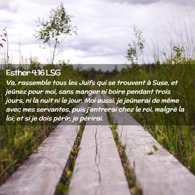 Picture 02 - Esther 4:16 LSG - Va, rassemble tous les Juifs qui se trouvent à - Bible Verse Picture