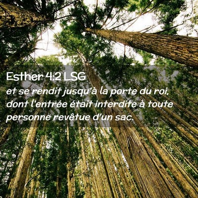 Picture 02 - Esther 4:2 LSG - et se rendit jusqu'à la porte du roi, dont - Bible Verse Picture