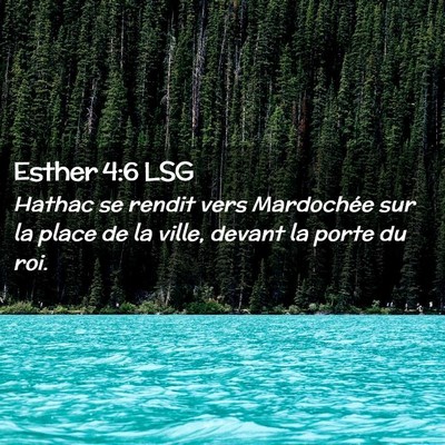 Picture 02 - Esther 4:6 LSG - Hathac se rendit vers Mardochée sur la place de - Bible Verse Picture