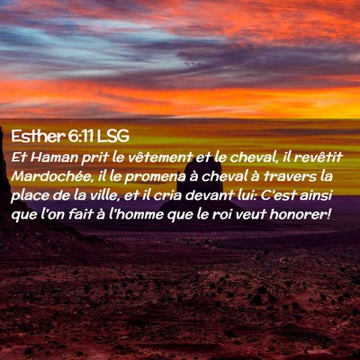 Picture 02 - Esther 6:11 LSG - Et Haman prit le vêtement et le cheval, il - Bible Verse Picture