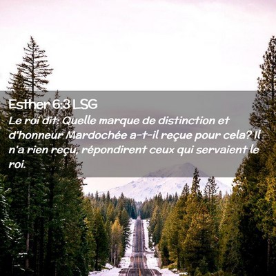 Picture 02 - Esther 6:3 LSG - Le roi dit: Quelle marque de distinction et - Bible Verse Picture