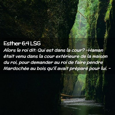 Picture 02 - Esther 6:4 LSG - Alors le roi dit: Qui est dans la cour? -Haman - Bible Verse Picture