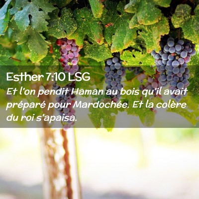 Picture 02 - Esther 7:10 LSG - Et l'on pendit Haman au bois qu'il avait - Bible Verse Picture