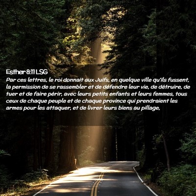 Picture 02 - Esther 8:11 LSG - Par ces lettres, le roi donnait aux Juifs, en - Bible Verse Picture