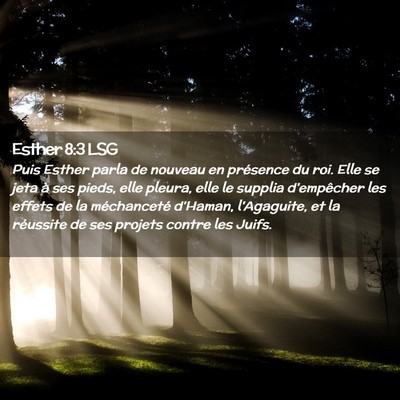 Picture 02 - Esther 8:3 LSG - Puis Esther parla de nouveau en présence du roi. - Bible Verse Picture