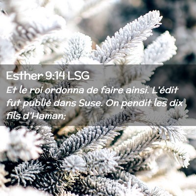Picture 02 - Esther 9:14 LSG - Et le roi ordonna de faire ainsi. L'édit fut - Bible Verse Picture