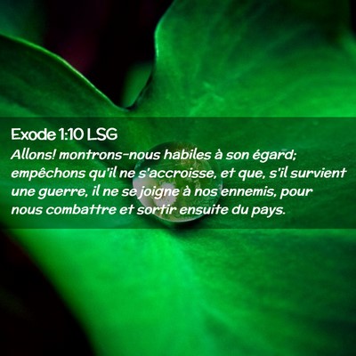 Picture 02 - Exode 1:10 LSG - Allons! montrons-nous habiles à son égard; - Bible Verse Picture