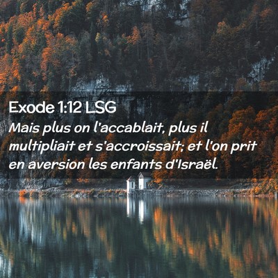 Picture 02 - Exode 1:12 LSG - Mais plus on l'accablait, plus il multipliait et - Bible Verse Picture
