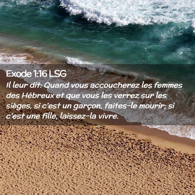 Picture 02 - Exode 1:16 LSG - Il leur dit: Quand vous accoucherez les femmes - Bible Verse Picture
