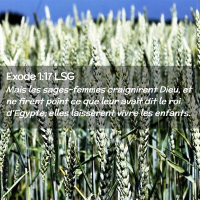 Picture 02 - Exode 1:17 LSG - Mais les sages-femmes craignirent Dieu, et ne - Bible Verse Picture