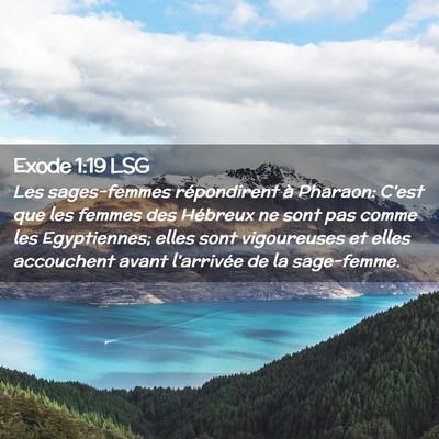 Picture 02 - Exode 1:19 LSG - Les sages-femmes répondirent à Pharaon: C'est - Bible Verse Picture