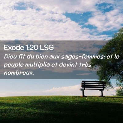 Picture 02 - Exode 1:20 LSG - Dieu fit du bien aux sages-femmes; et le peuple - Bible Verse Picture