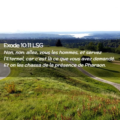 Picture 02 - Exode 10:11 LSG - Non, non: allez, vous les hommes, et servez - Bible Verse Picture