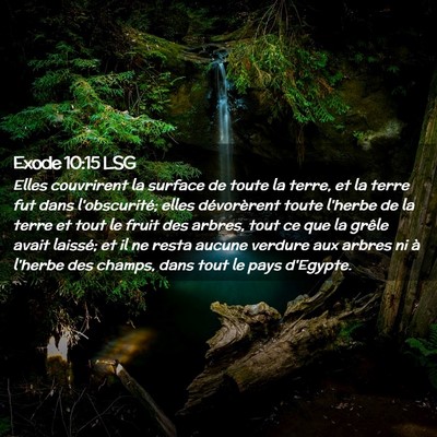 Picture 02 - Exode 10:15 LSG - Elles couvrirent la surface de toute la terre, et - Bible Verse Picture