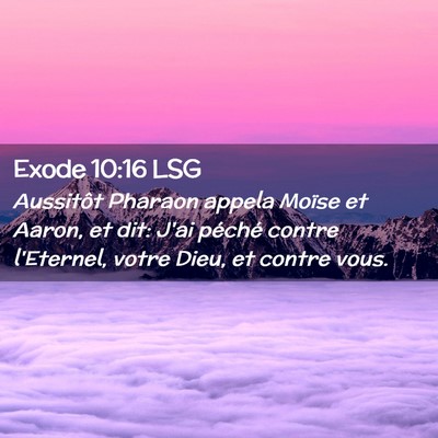 Picture 02 - Exode 10:16 LSG - Aussitôt Pharaon appela Moïse et Aaron, et dit: - Bible Verse Picture
