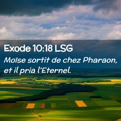 Picture 02 - Exode 10:18 LSG - Moïse sortit de chez Pharaon, et il pria - Bible Verse Picture