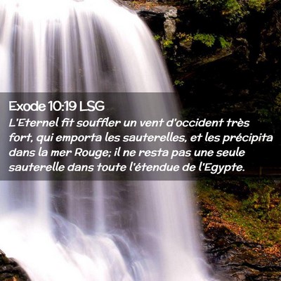Picture 02 - Exode 10:19 LSG - L'Eternel fit souffler un vent d'occident très - Bible Verse Picture