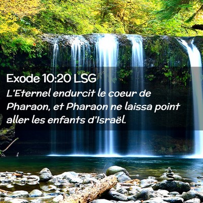 Picture 02 - Exode 10:20 LSG - L'Eternel endurcit le coeur de Pharaon, et - Bible Verse Picture