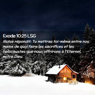 Picture 02 - Exode 10:25 LSG - Moïse répondit: Tu mettras toi-même entre nos - Bible Verse Picture