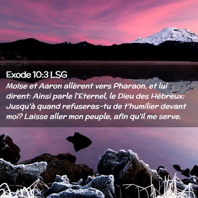 Picture 02 - Exode 10:3 LSG - Moïse et Aaron allèrent vers Pharaon, et lui - Bible Verse Picture
