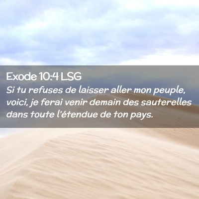 Picture 02 - Exode 10:4 LSG - Si tu refuses de laisser aller mon peuple, voici, - Bible Verse Picture