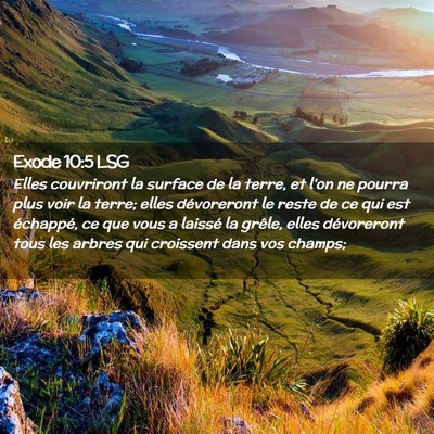 Picture 02 - Exode 10:5 LSG - Elles couvriront la surface de la terre, et l'on - Bible Verse Picture