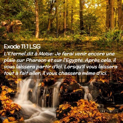 Picture 02 - Exode 11:1 LSG - L'Eternel dit à Moïse: Je ferai venir encore - Bible Verse Picture