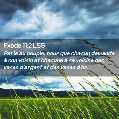 Picture 02 - Exode 11:2 LSG - Parle au peuple, pour que chacun demande à son - Bible Verse Picture