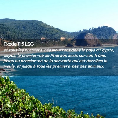 Picture 02 - Exode 11:5 LSG - et tous les premiers-nés mourront dans le pays - Bible Verse Picture