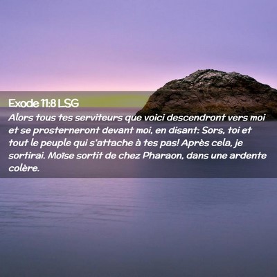 Picture 02 - Exode 11:8 LSG - Alors tous tes serviteurs que voici descendront - Bible Verse Picture