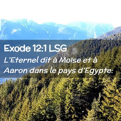 Picture 02 - Exode 12:1 LSG - L'Eternel dit à Moïse et à Aaron dans le pays - Bible Verse Picture
