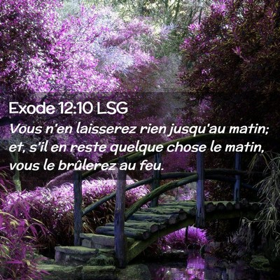 Picture 02 - Exode 12:10 LSG - Vous n'en laisserez rien jusqu'au matin; et, s'il - Bible Verse Picture