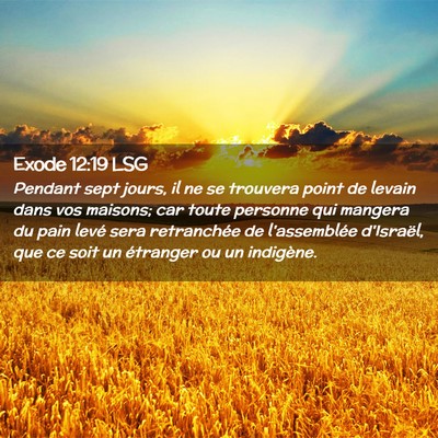 Picture 02 - Exode 12:19 LSG - Pendant sept jours, il ne se trouvera point de - Bible Verse Picture