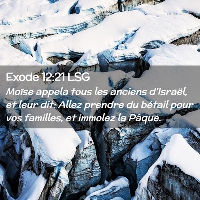 Picture 02 - Exode 12:21 LSG - Moïse appela tous les anciens d'Israël, et leur - Bible Verse Picture
