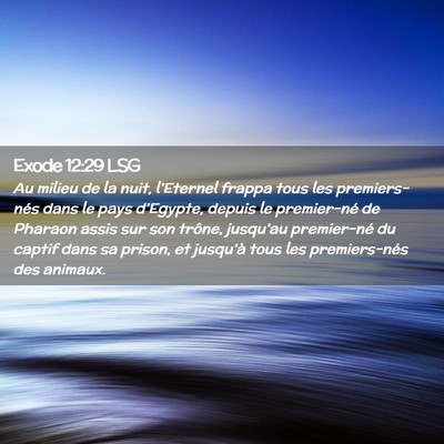 Picture 02 - Exode 12:29 LSG - Au milieu de la nuit, l'Eternel frappa tous les - Bible Verse Picture