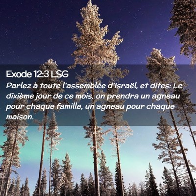 Picture 02 - Exode 12:3 LSG - Parlez à toute l'assemblée d'Israël, et dites: - Bible Verse Picture