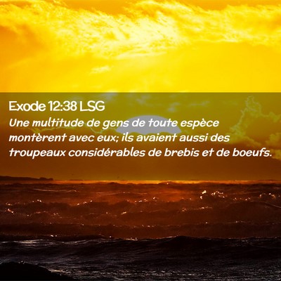 Picture 02 - Exode 12:38 LSG - Une multitude de gens de toute espèce montèrent - Bible Verse Picture