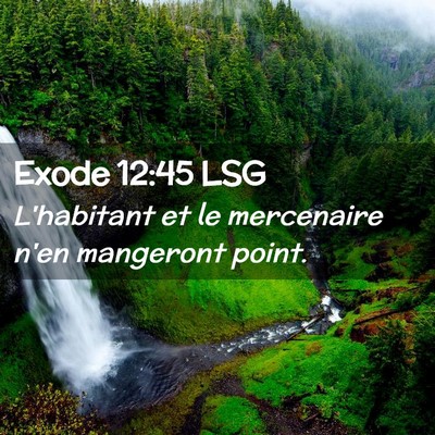 Picture 02 - Exode 12:45 LSG - L'habitant et le mercenaire n'en mangeront - Bible Verse Picture