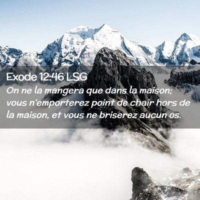 Picture 02 - Exode 12:46 LSG - On ne la mangera que dans la maison; vous - Bible Verse Picture