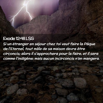 Picture 02 - Exode 12:48 LSG - Si un étranger en séjour chez toi veut faire la - Bible Verse Picture