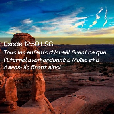 Picture 02 - Exode 12:50 LSG - Tous les enfants d'Israël firent ce que - Bible Verse Picture