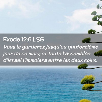 Picture 02 - Exode 12:6 LSG - Vous le garderez jusqu'au quatorzième jour de ce - Bible Verse Picture